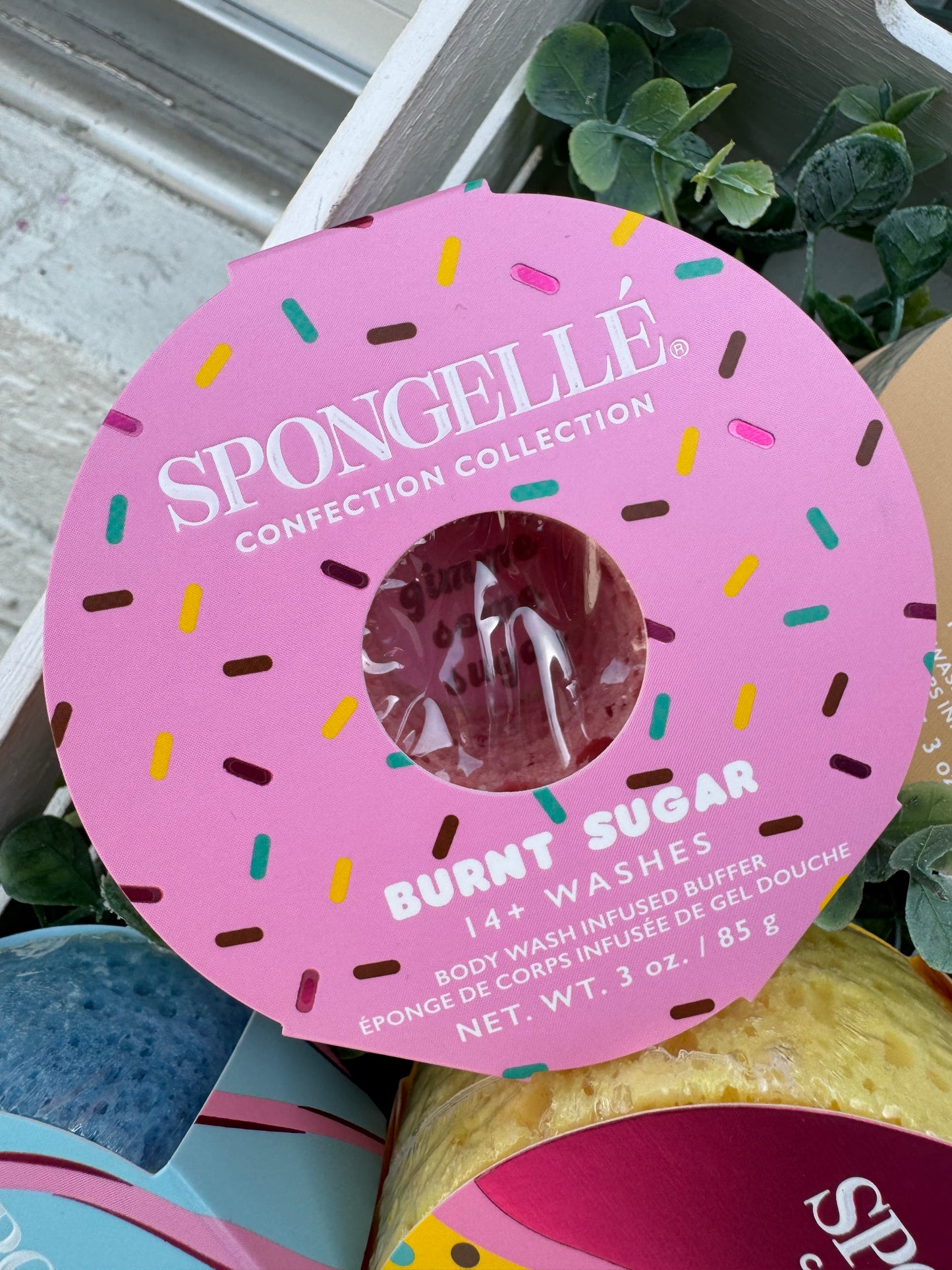 Spongelle Confection Collection