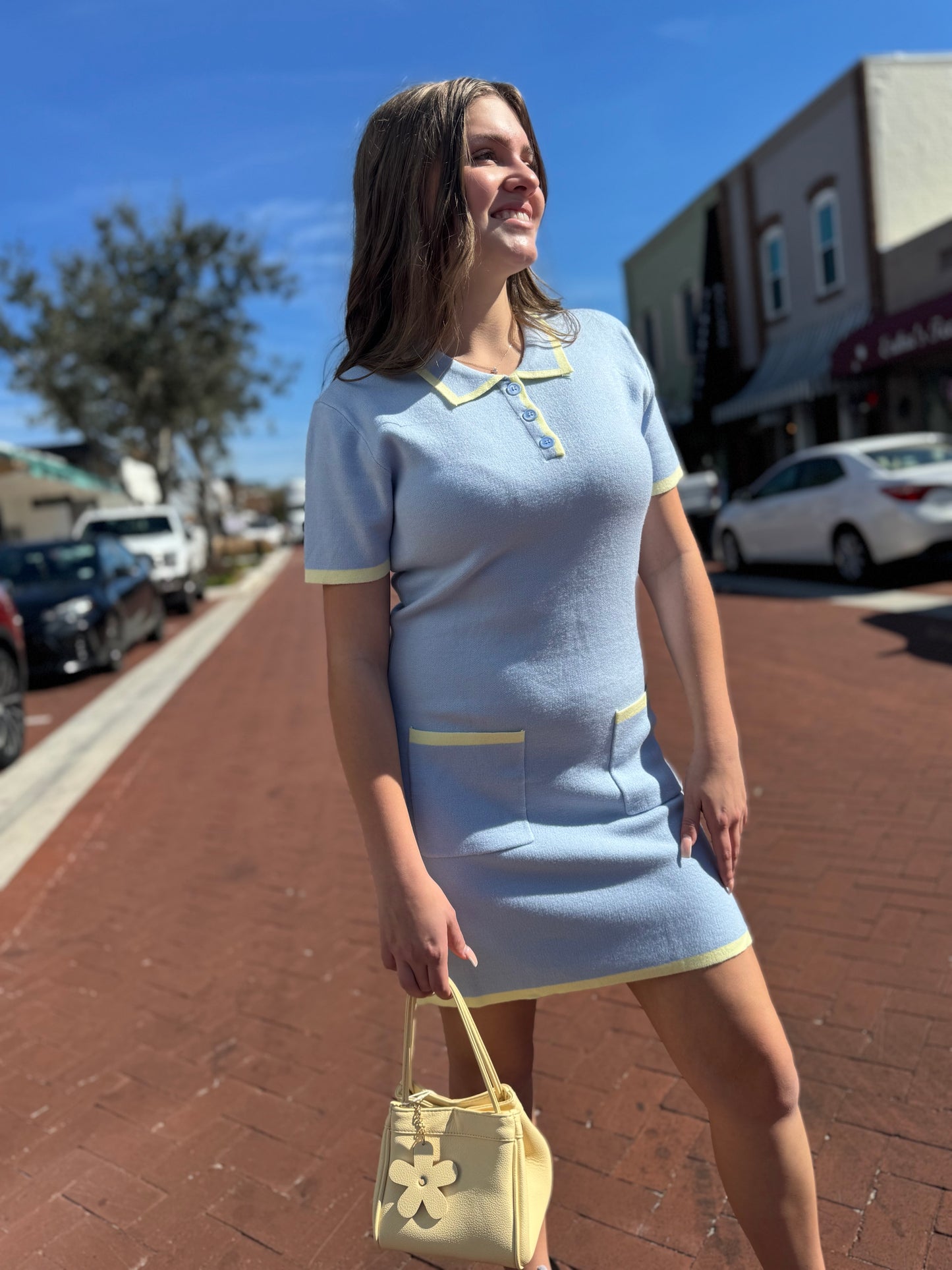 The Samantha Knit Dress - Lt. Blue