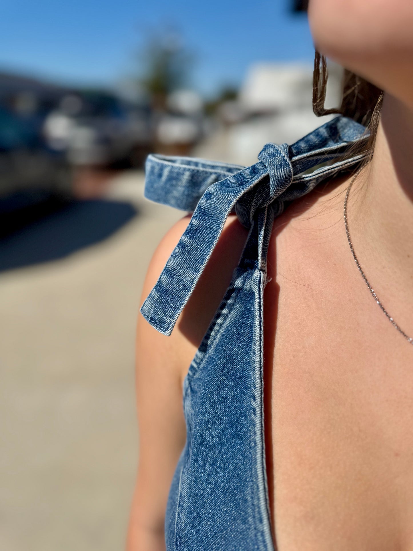 The Country Side Denim Midi Dress