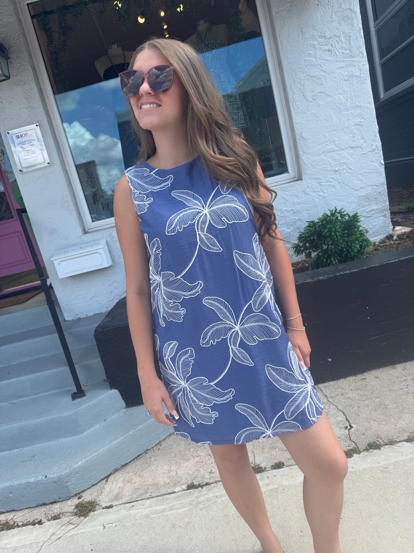 Blue Belle Embroidered Mini Dress