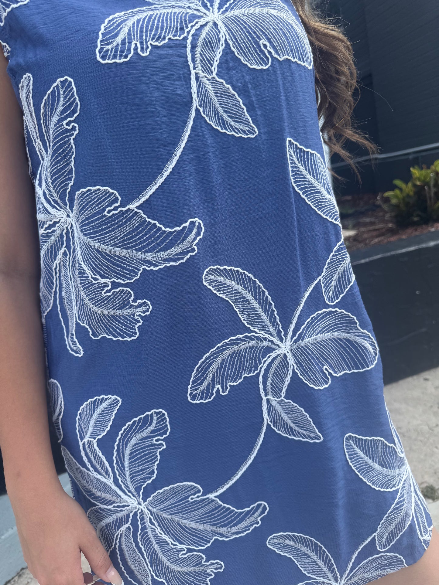 Blue Belle Embroidered Mini Dress