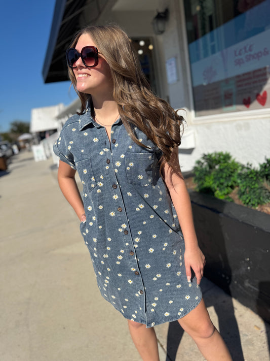 Pocket Full of Daisies Dress